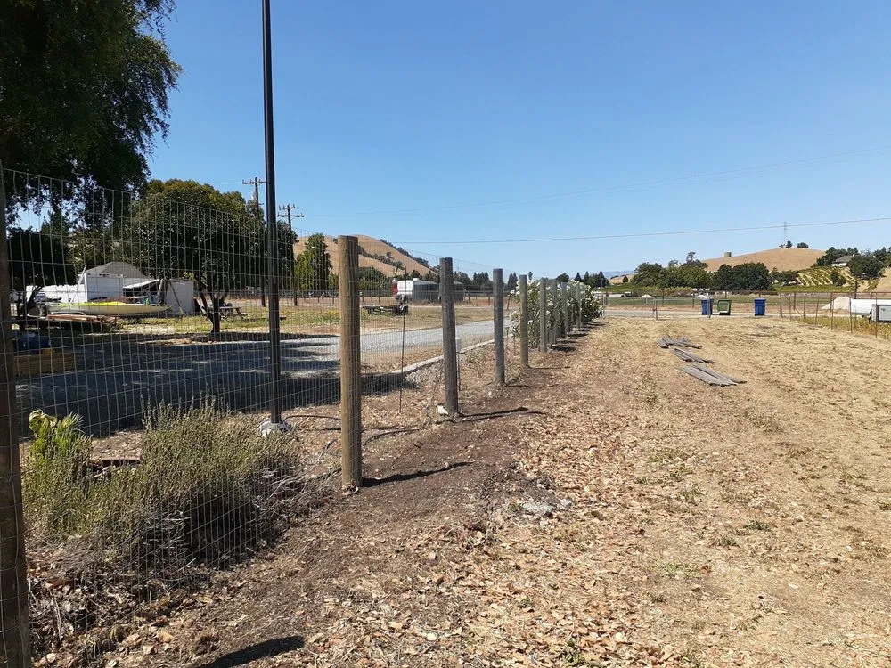 Professional residential landscaping in Gilroy, CA by Lucky Landscape