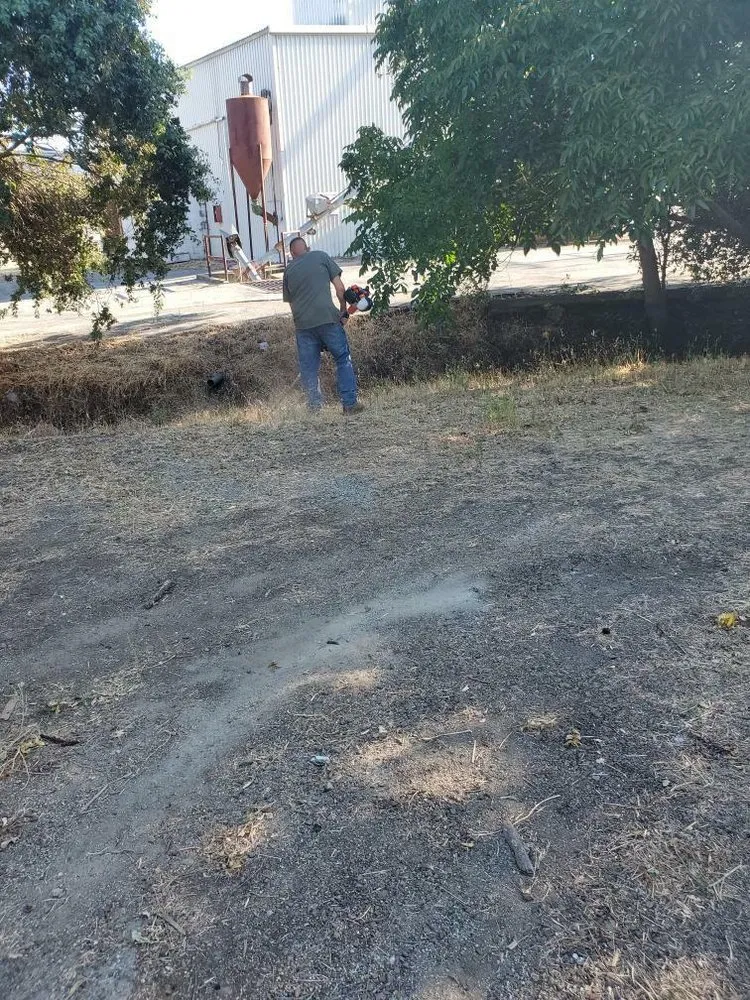 Professional landscape design experts serving Gilroy, CA - Lucky Landscape