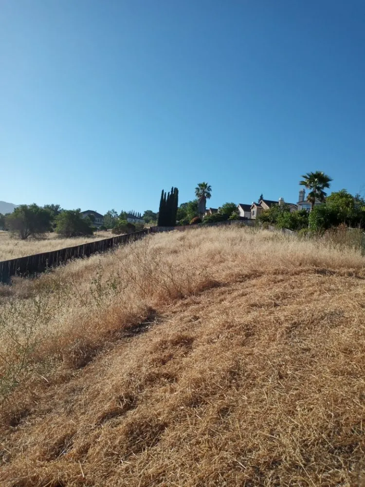 Custom landscaping services experts serving Gilroy, CA - Lucky Landscape