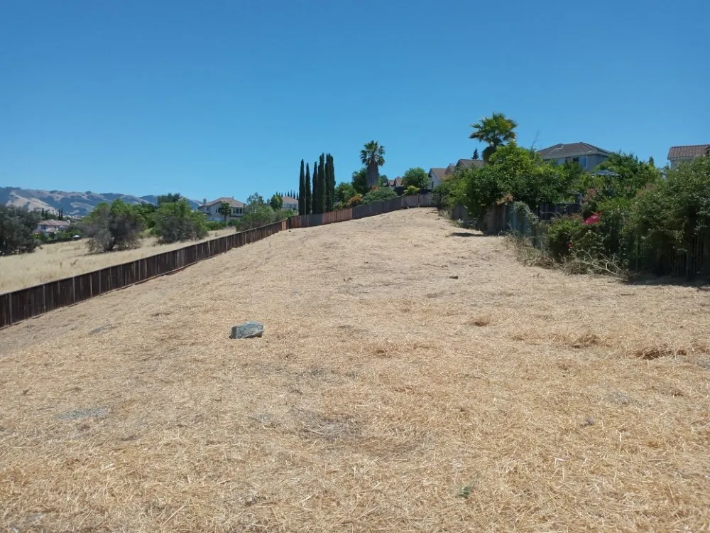 Trusted residential landscaping experts serving Gilroy, CA - Lucky Landscape