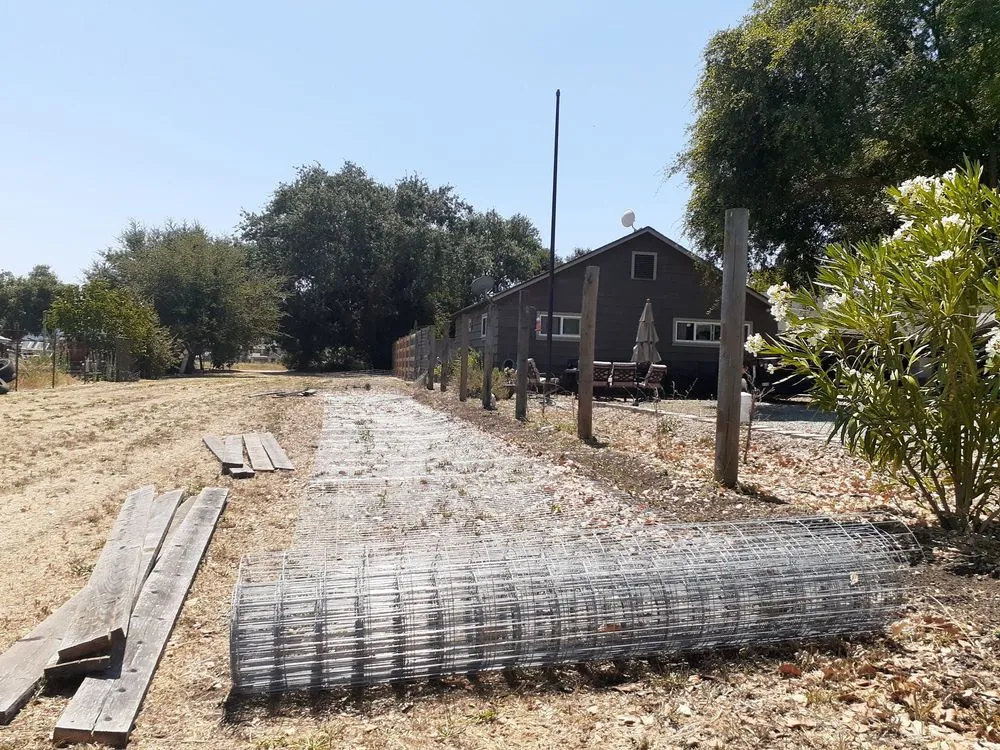 Affordable yard cleanup service near you in Gilroy, CA by Lucky Landscape