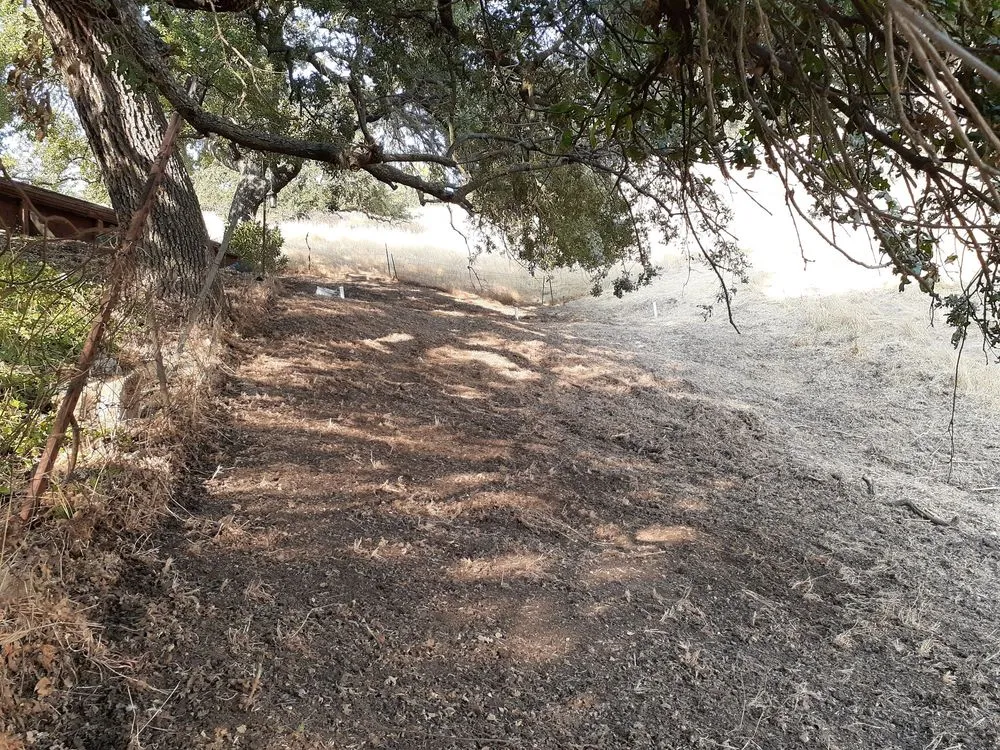 Local landscape design experts serving Gilroy, CA - Lucky Landscape