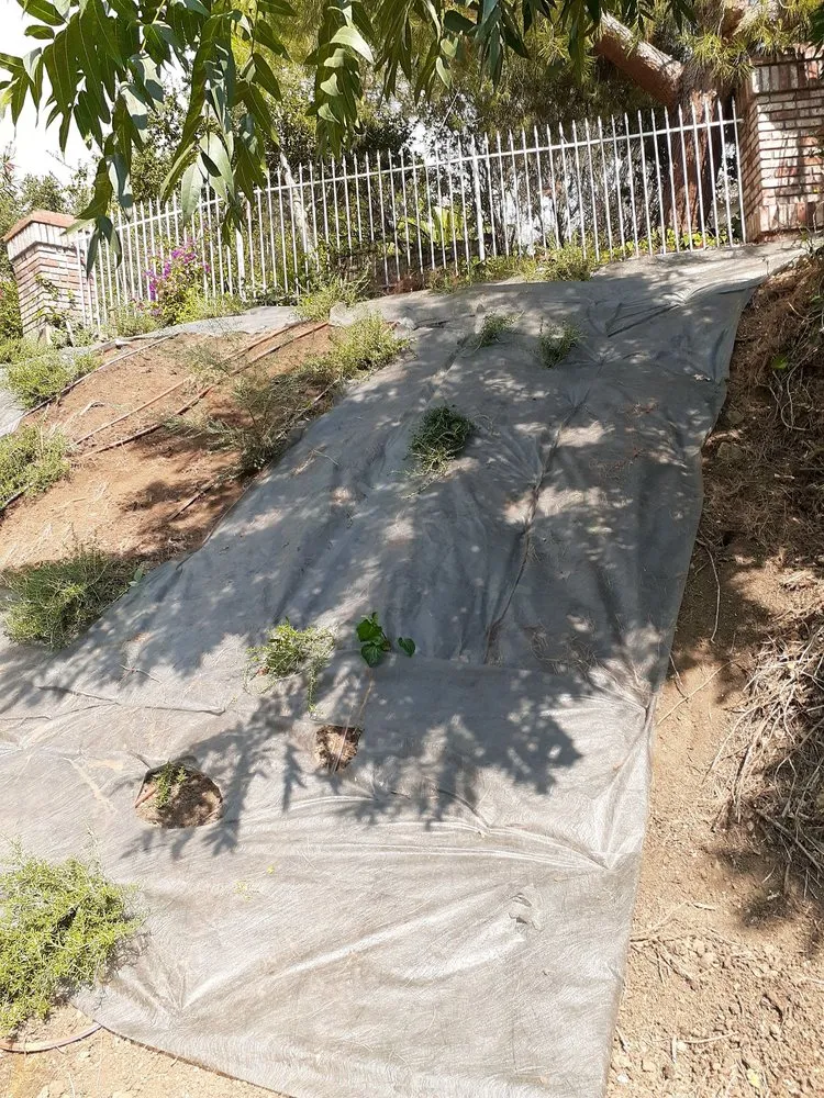 Top-rated outdoor landscaping experts serving Gilroy, CA - Lucky Landscape