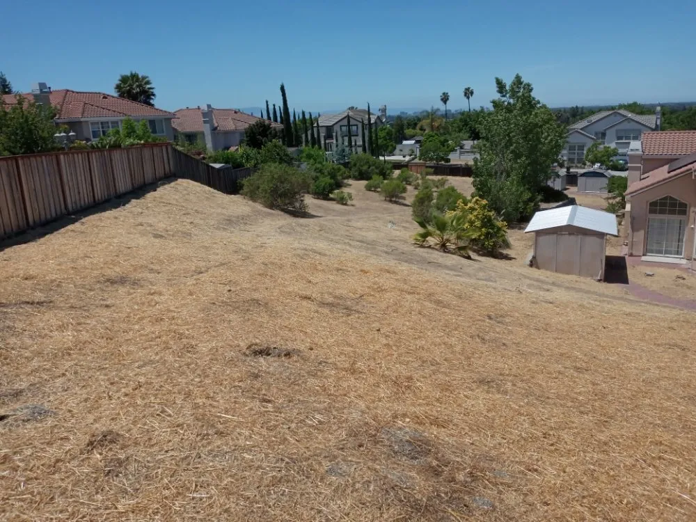 Trusted lawn mowing service experts serving Gilroy, CA - Lucky Landscape