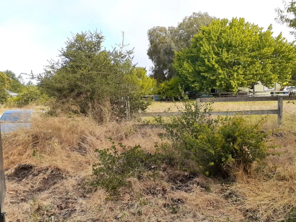 Trusted yard cleanup service for beautiful yards in Gilroy, CA by Lucky Landscape