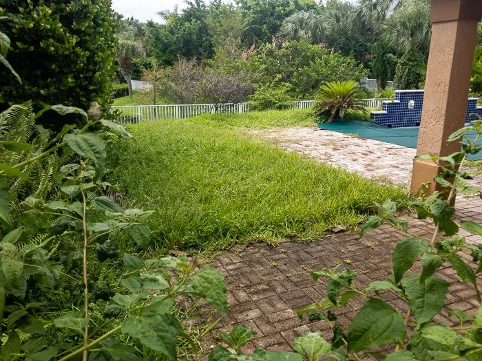 Expert landscape installation experts serving Jupiter, FL - Lucky Landscaping