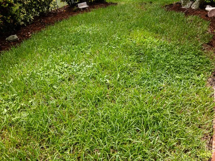 Top-rated residential landscaping in Jupiter, FL - Lucky Landscaping