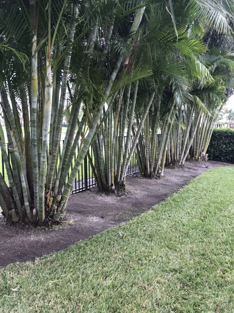 Custom lawn care service with custom design across Jupiter, FL - Lucky Landscaping