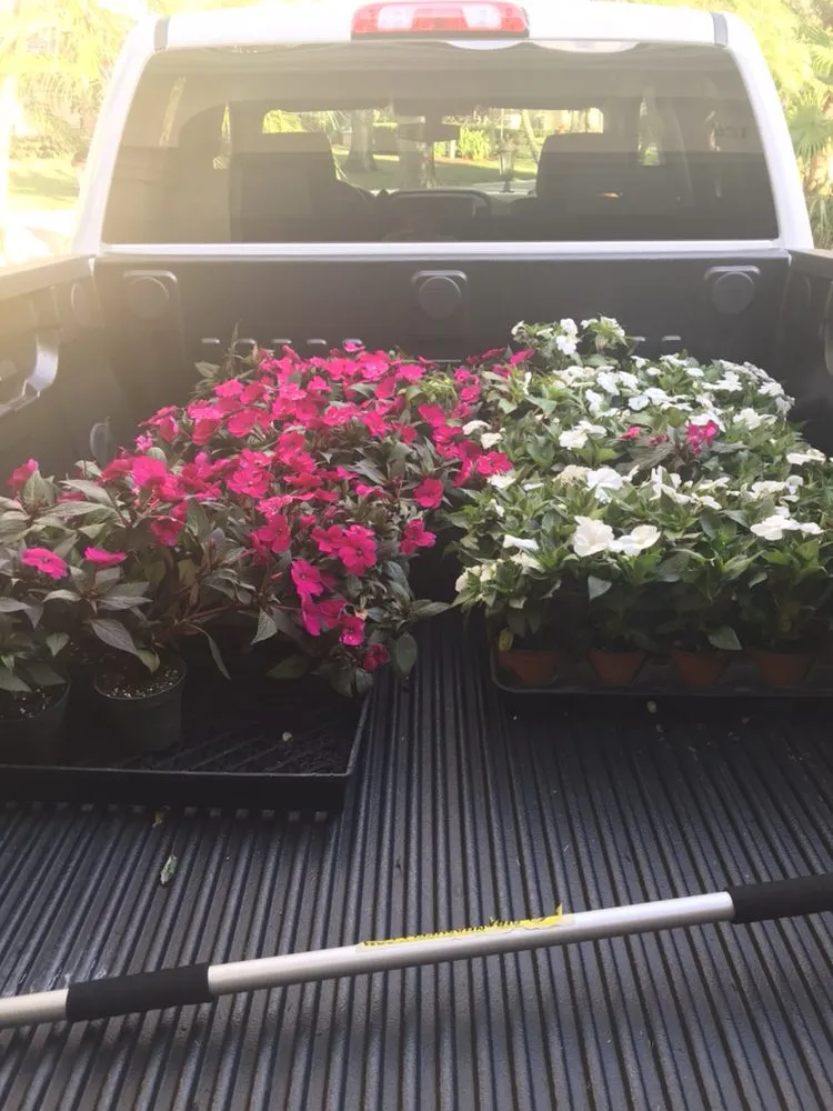 Professional yard cleanup service experts serving Jupiter, FL - Lucky Landscaping