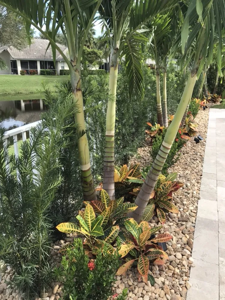 Reliable lawn care service in Jupiter, FL - Lucky Landscaping