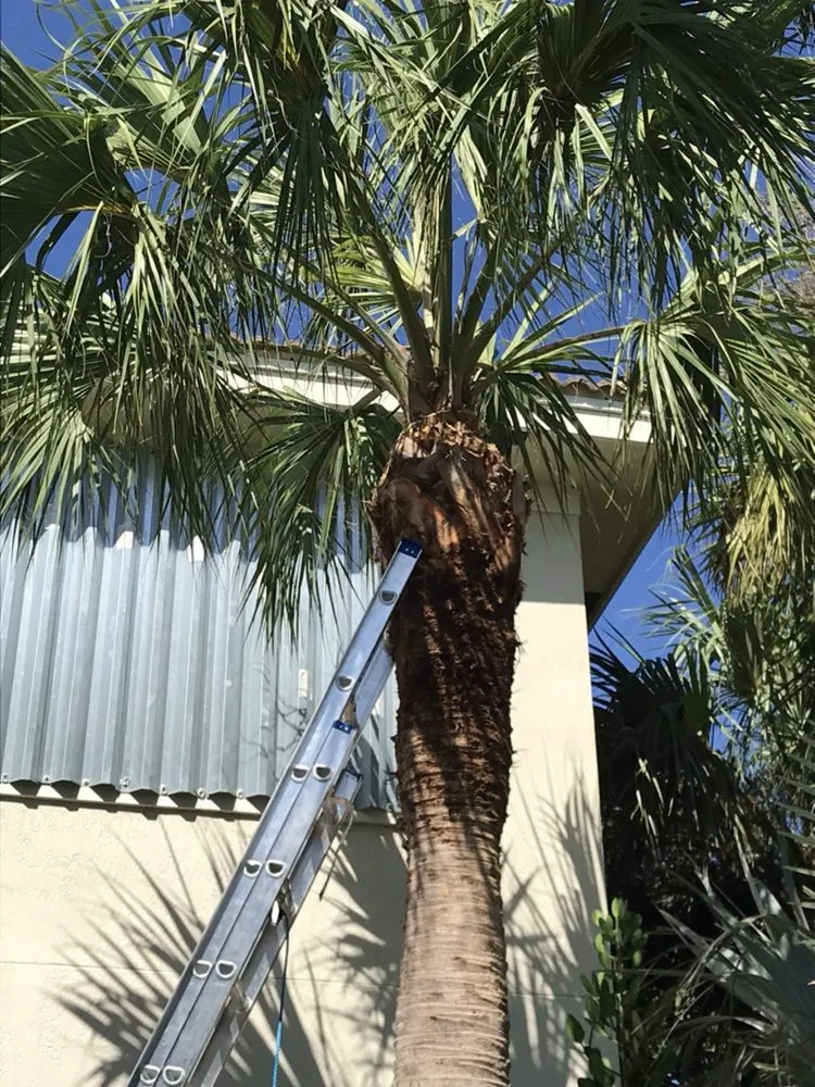 Expert lawn mowing service in Jupiter, FL - Lucky Landscaping