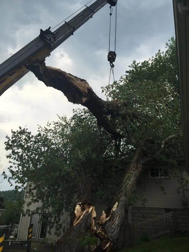 Custom garden landscaping with custom design in Strasburg, OH by Lucky Lawn - Landscaping & Tree Service