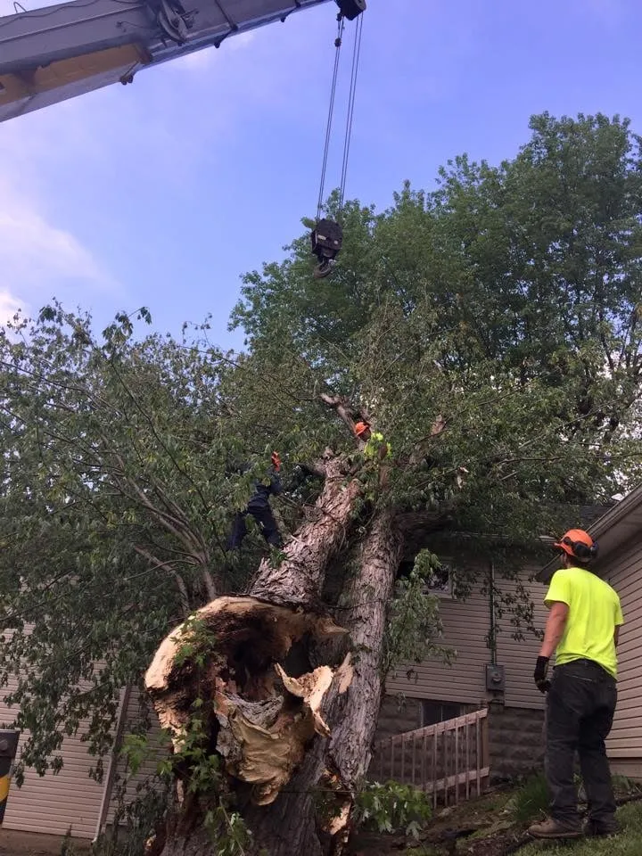 Affordable residential landscaping for homes across Strasburg, OH - Lucky Lawn - Landscaping & Tree Service