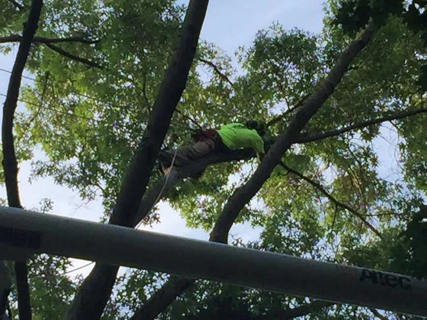 Custom landscaping services in Strasburg, OH by Lucky Lawn - Landscaping & Tree Service