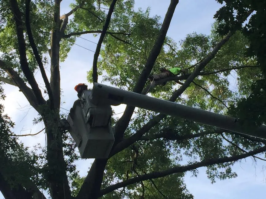 Professional lawn care service for outdoor upgrades across Strasburg, OH - Lucky Lawn - Landscaping & Tree Service