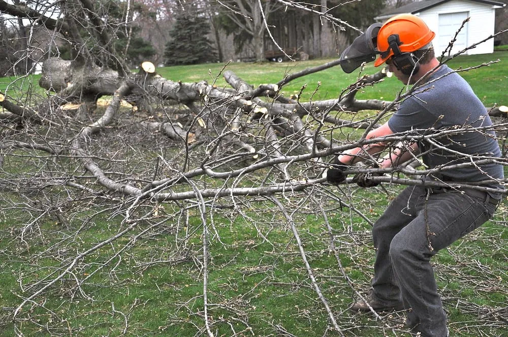 Affordable yard maintenance in Strasburg, OH by Lucky Lawn - Landscaping & Tree Service