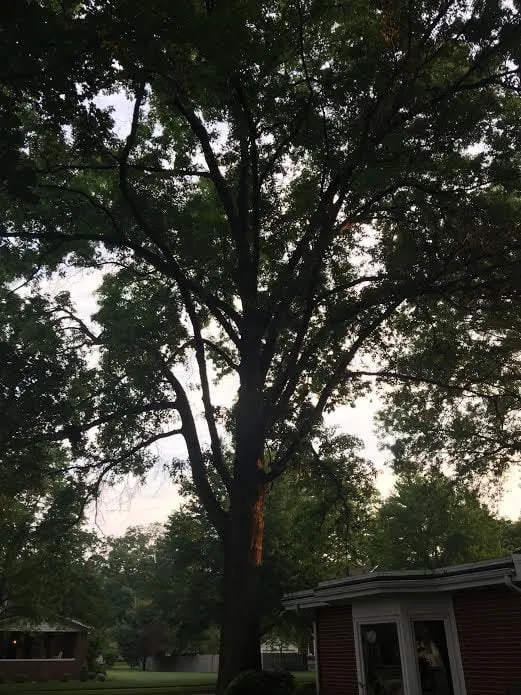 Custom landscape installation experts serving Strasburg, OH - Lucky Lawn - Landscaping & Tree Service