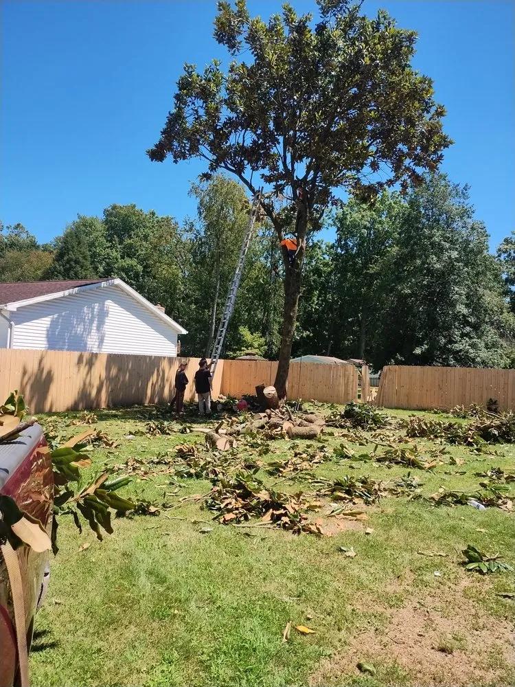 Reliable yard cleanup service in Parkersburg, WV by Lucky Lawn Care & More