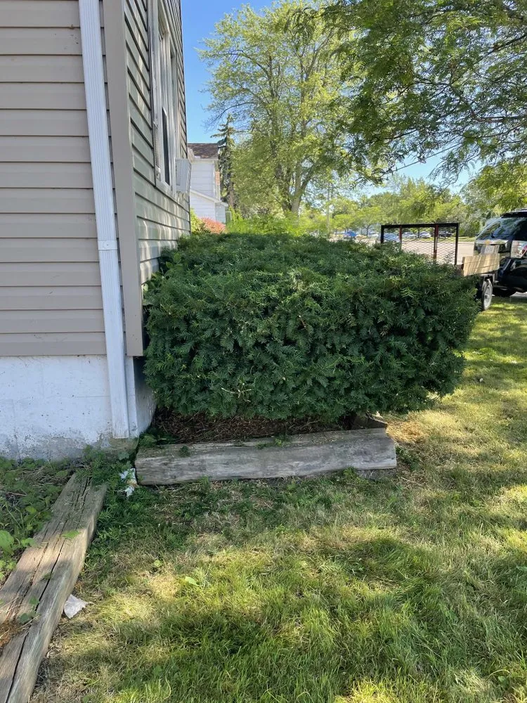 Expert lawn care service experts serving Depew, NY - Lucky Lawn Care Services