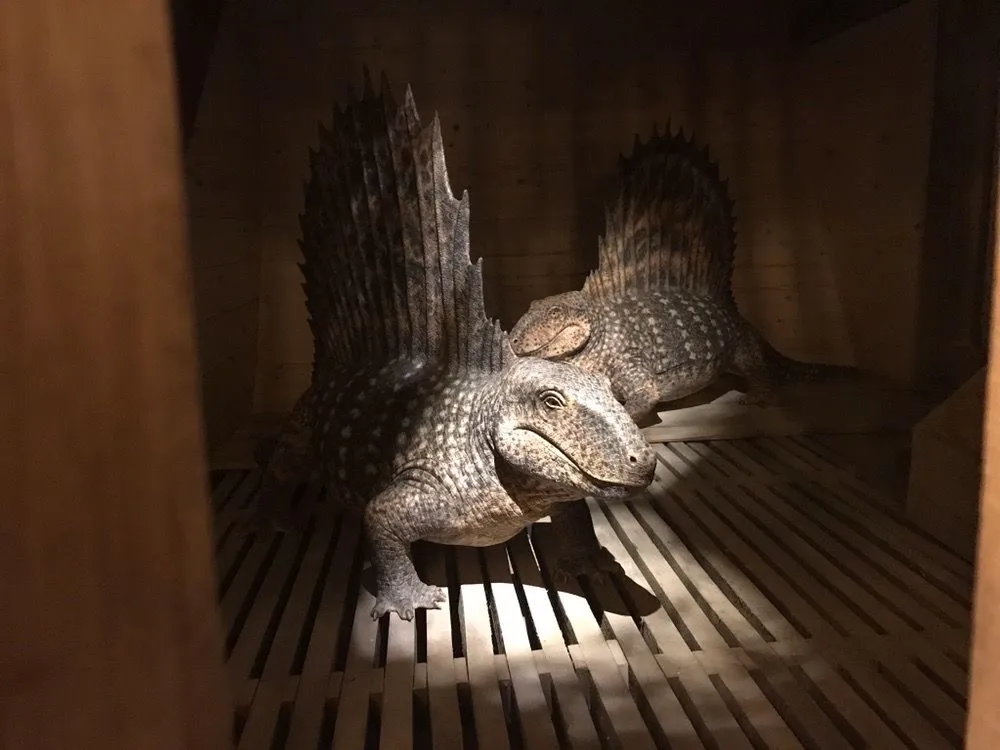 Expert residential landscaping for year-round maintenance in Enterprise, AL by Lucky Lawn Services