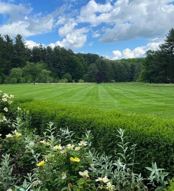 Top-rated yard maintenance for residential properties across Stamford, CT - Lucky Lawn