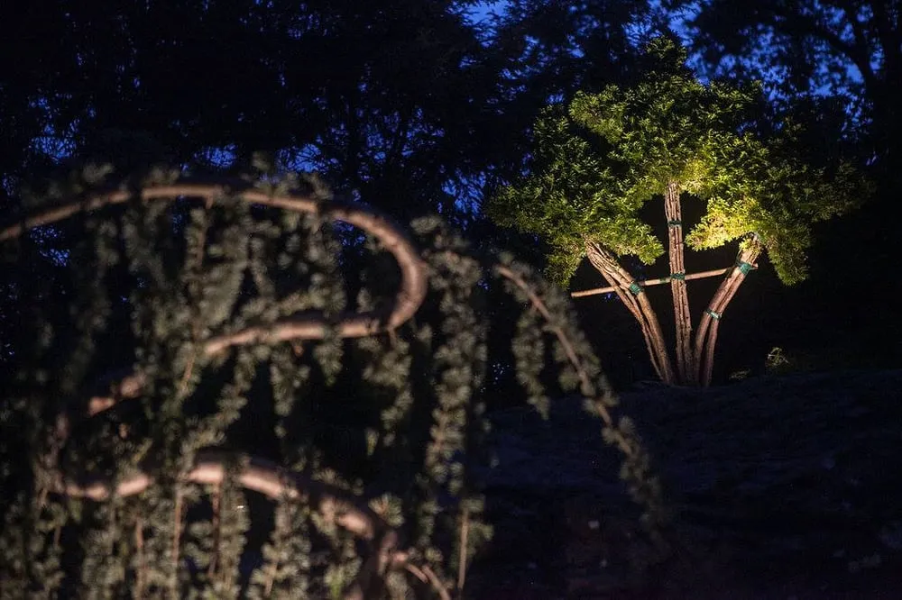 Trusted outdoor landscaping experts serving Stamford, CT - Lucky Lawn