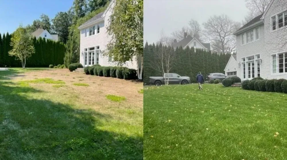Affordable garden landscaping experts serving Stamford, CT - Lucky Lawn