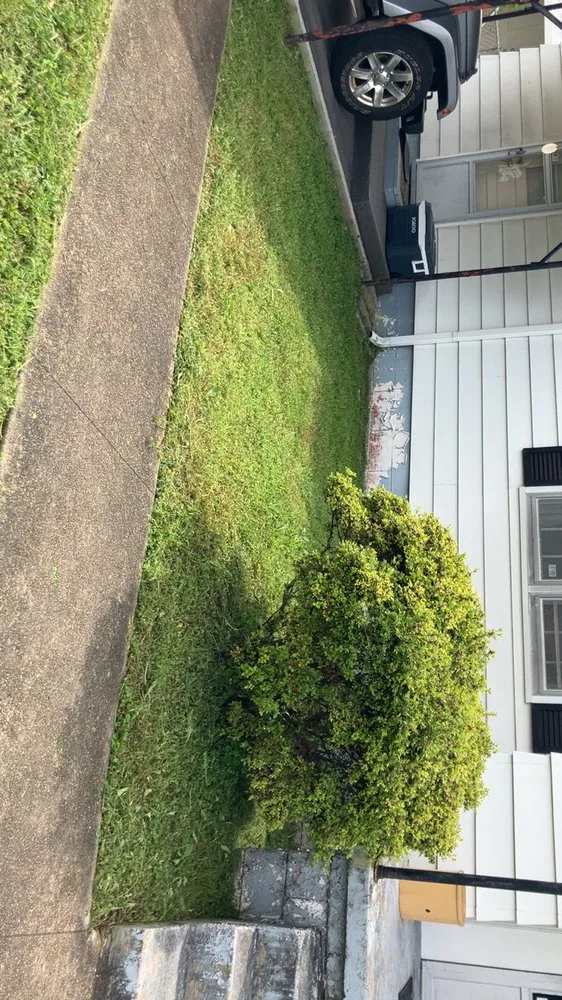 Local outdoor landscaping in East Ridge, TN by Lucky Lawns