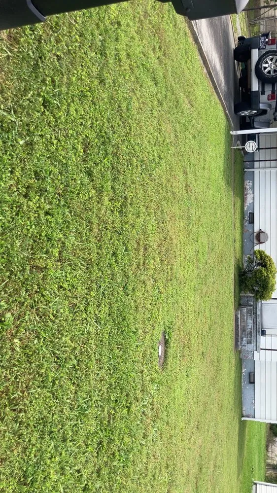 Custom landscaping services in East Ridge, TN by Lucky Lawns