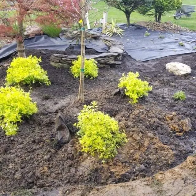 Professional yard cleanup service near you in Jackson Township, NJ by Lucky Lawns