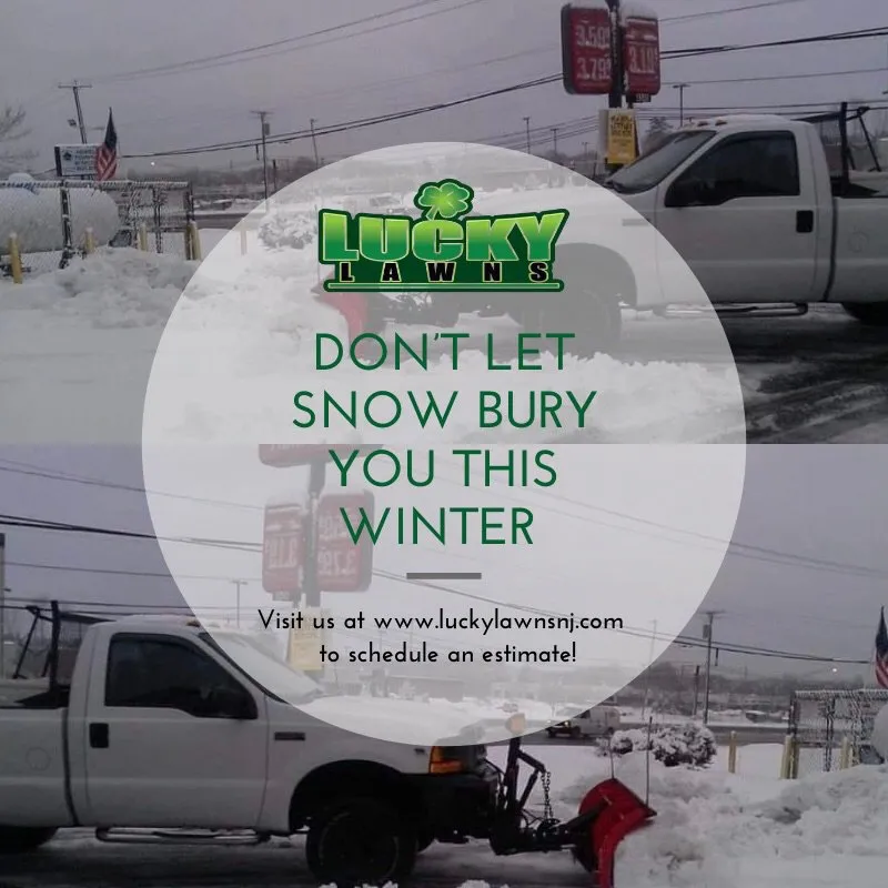 Custom landscaping services in Jackson Township, NJ by Lucky Lawns