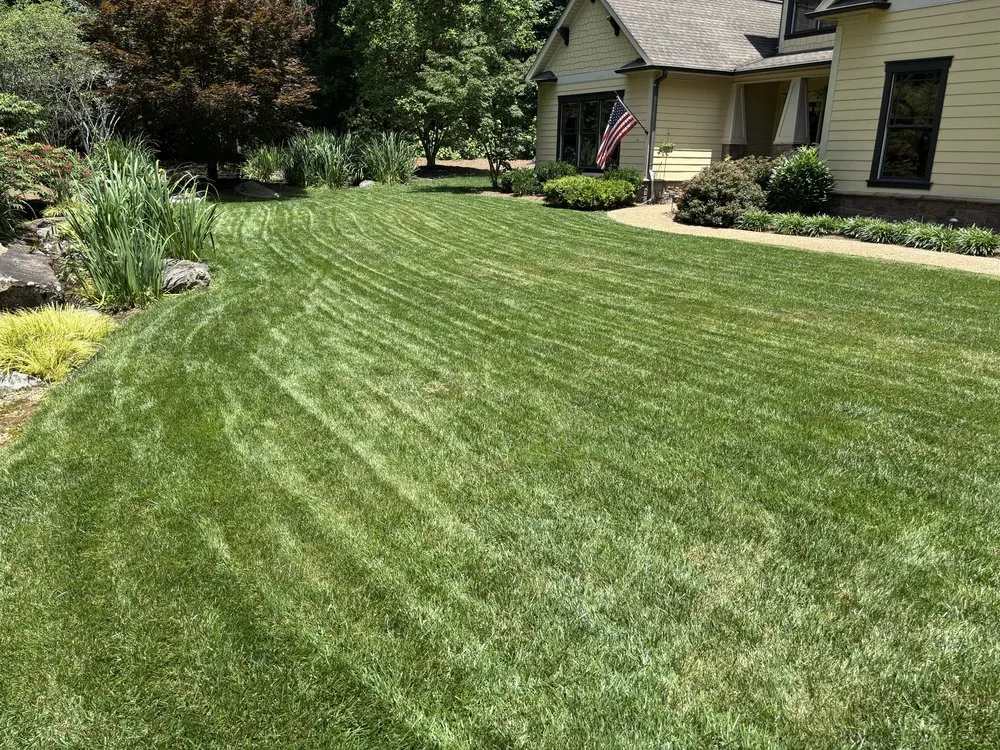 Affordable landscaping services experts serving Signal Mountain, TN - Lucky Lawns Lawncare & Pressure Washing