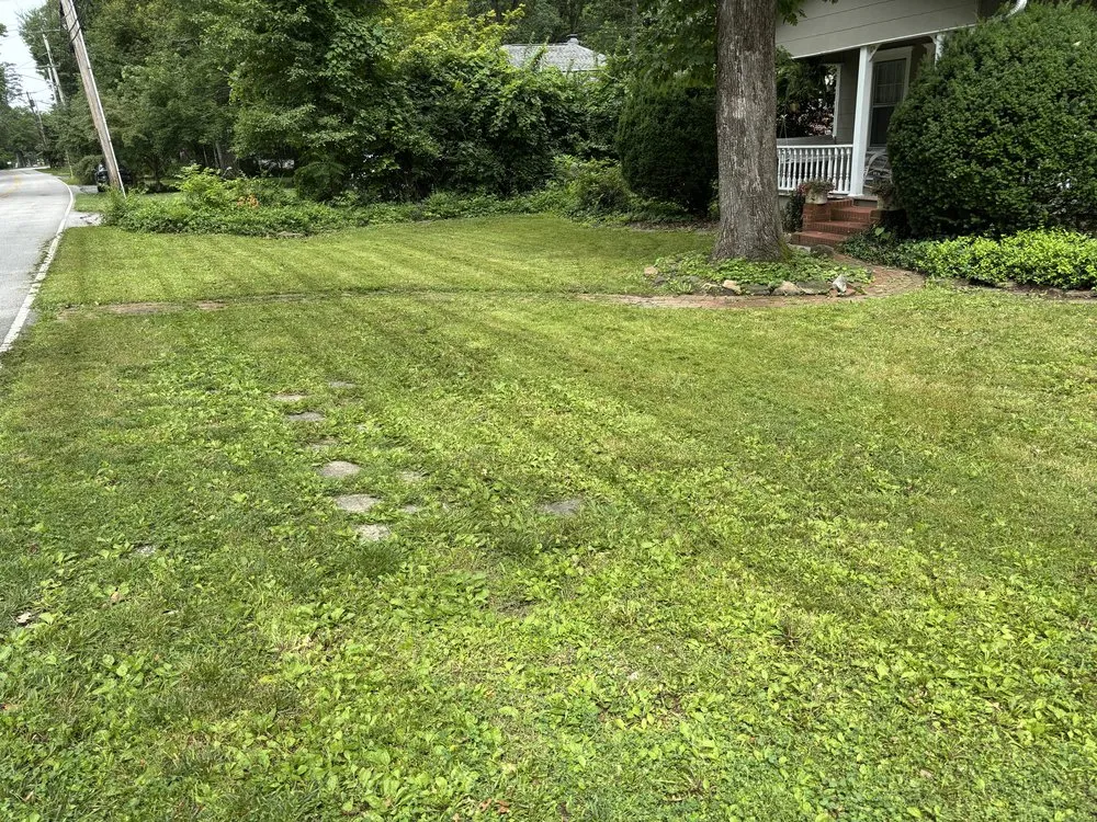 Top-rated yard maintenance with custom design in Signal Mountain, TN by Lucky Lawns Lawncare & Pressure Washing