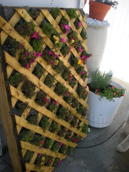 Trusted landscape installation in Saint Bernard, LA by Lucky Leaf Landscaping & Designs