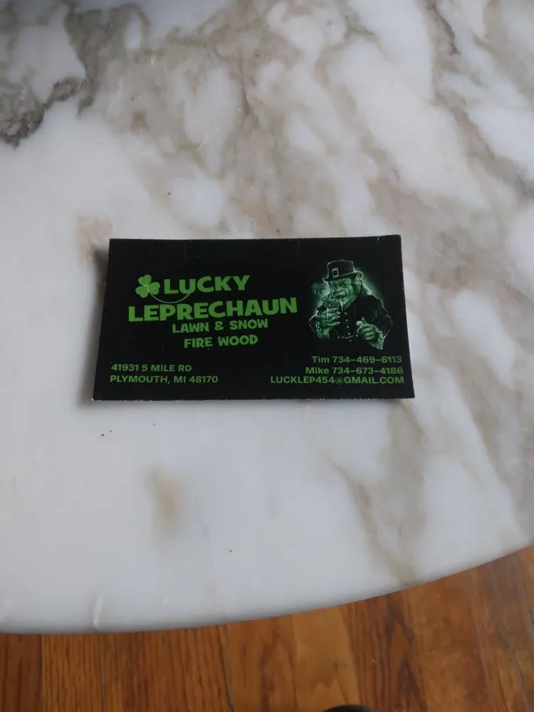 Reliable yard cleanup service with custom design in Plymouth, MI by Lucky leprechaun lawn and snow