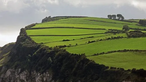 Reliable yard maintenance for year-round maintenance in Flint, MI by Lucky Leprechaun Lawn Service