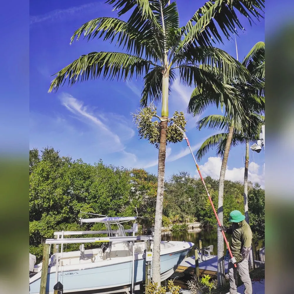 Custom landscaping services in North Port, FL by Lucky Maple Landscaping