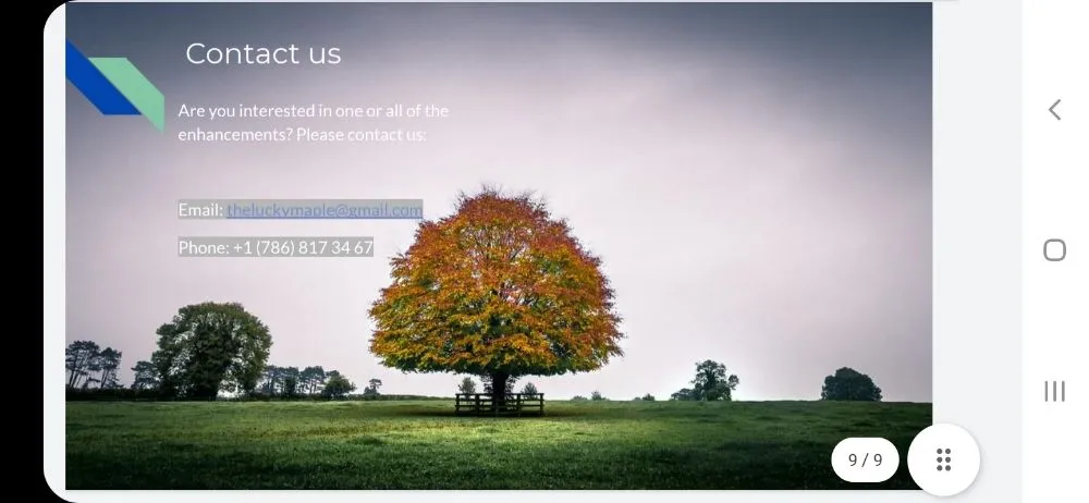 Top-rated outdoor landscaping experts serving North Port, FL - Lucky Maple Landscaping