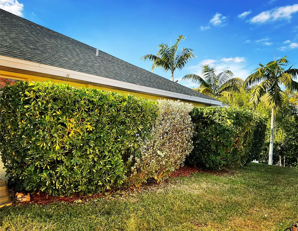 Reliable landscaping services for residential properties in North Port, FL by Lucky Maple Landscaping