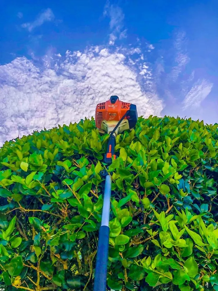 Expert yard maintenance with custom design across North Port, FL - Lucky Maple Landscaping