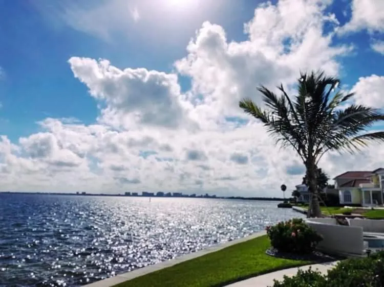 Custom outdoor landscaping in North Port, FL by Lucky Maple Landscaping