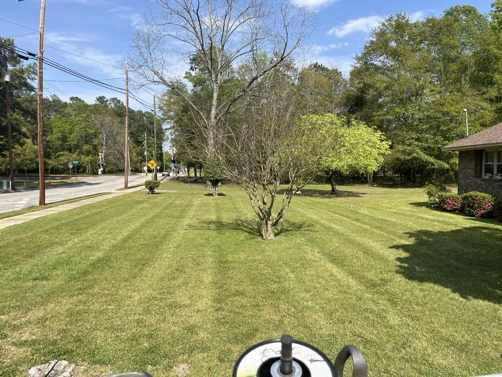 Trusted yard cleanup service experts serving Bennettsville, SC - Lucky Oak Landscaping