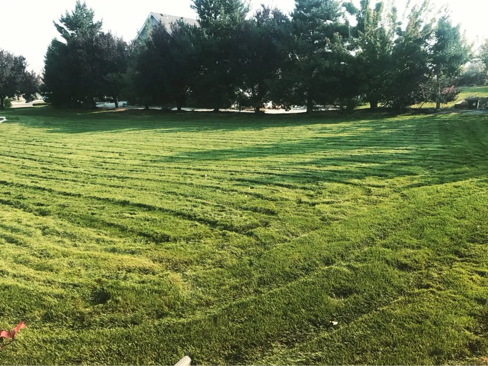 Local yard cleanup service experts serving Boise, ID - Lucky Peak Lawn Care