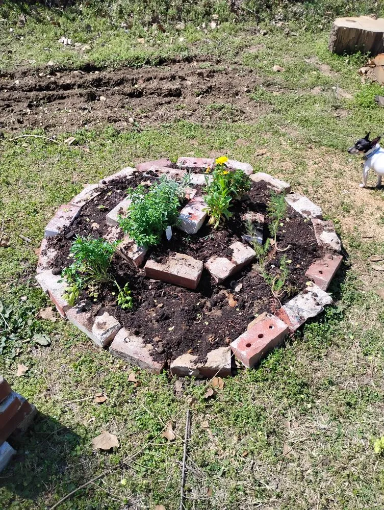 Trusted garden landscaping for year-round maintenance across Tulsa, OK - Lucky Permaculture