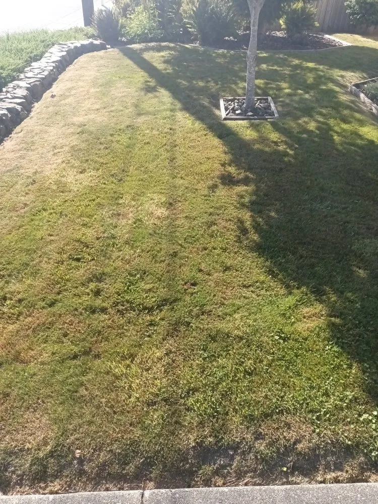 Expert lawn care service experts serving Crescent City, CA - Lucky Sam's Lawn & Landscaping