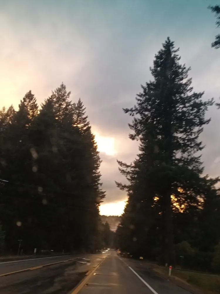 Professional lawn care service for residential properties across Crescent City, CA - Lucky Sam's Lawn & Landscaping