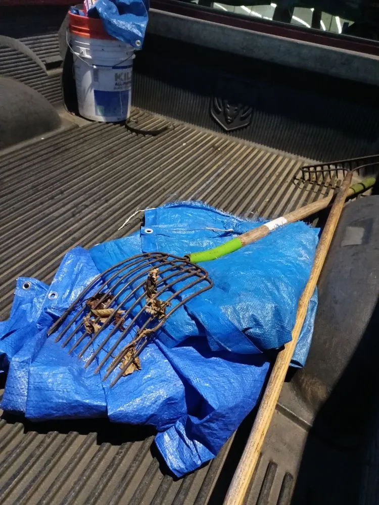 Professional yard cleanup service experts serving Crescent City, CA - Lucky Sam's Lawn & Landscaping