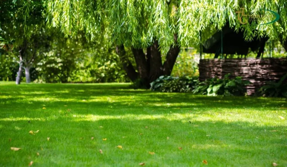 Affordable landscape design in Crescent City, CA by Lucky Sam's Lawn & Landscaping