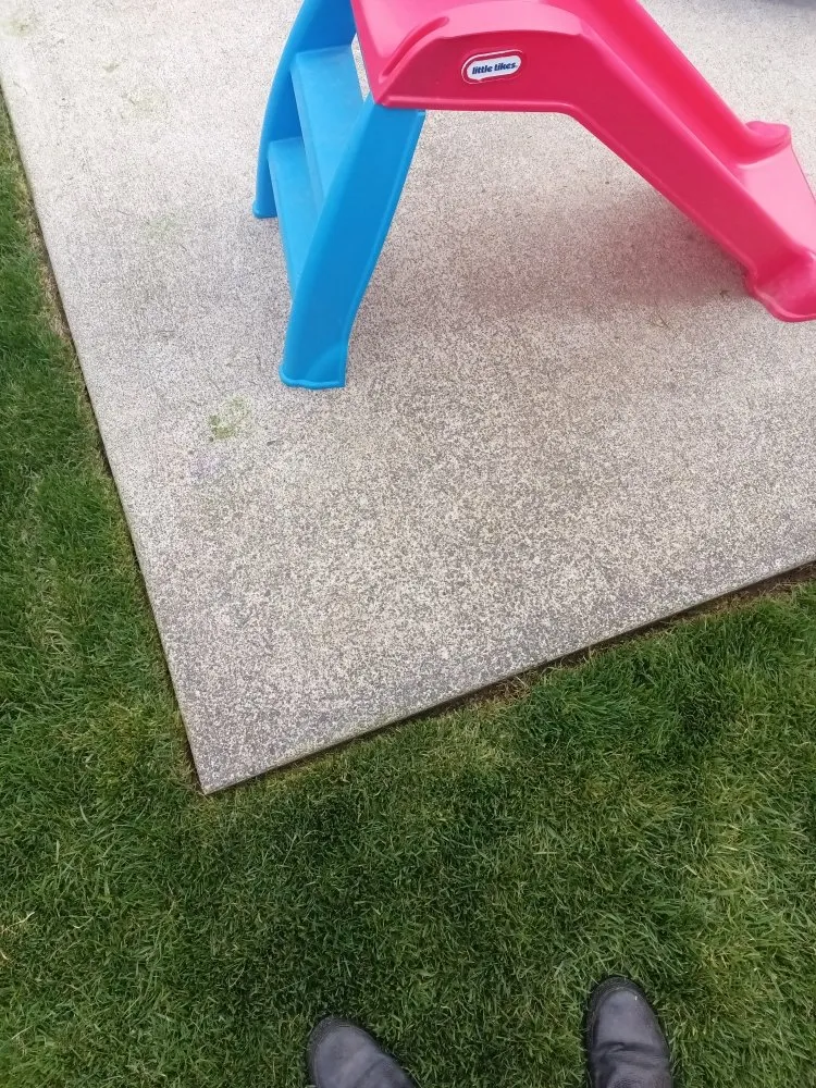 Professional yard cleanup service for year-round maintenance in Crescent City, CA by Lucky Sam's Lawn & Landscaping