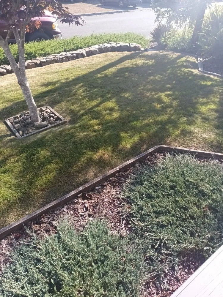 Expert landscaping services experts serving Crescent City, CA - Lucky Sam's Lawn & Landscaping